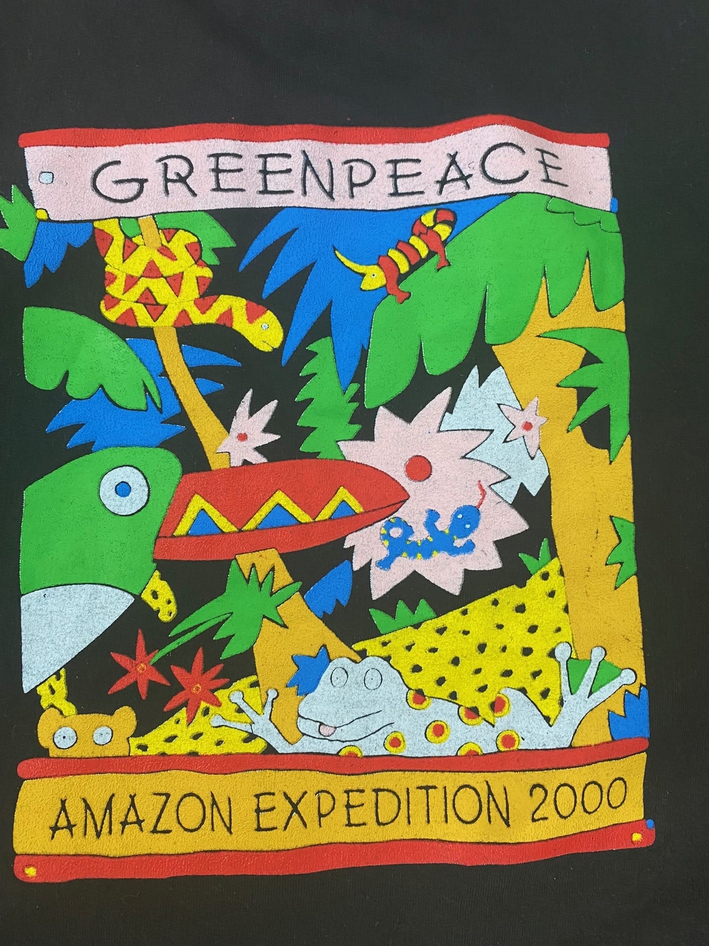 Rare Vintage: Half-Zip Greenpeace "Amazon Expedition 2000" Gr. XL