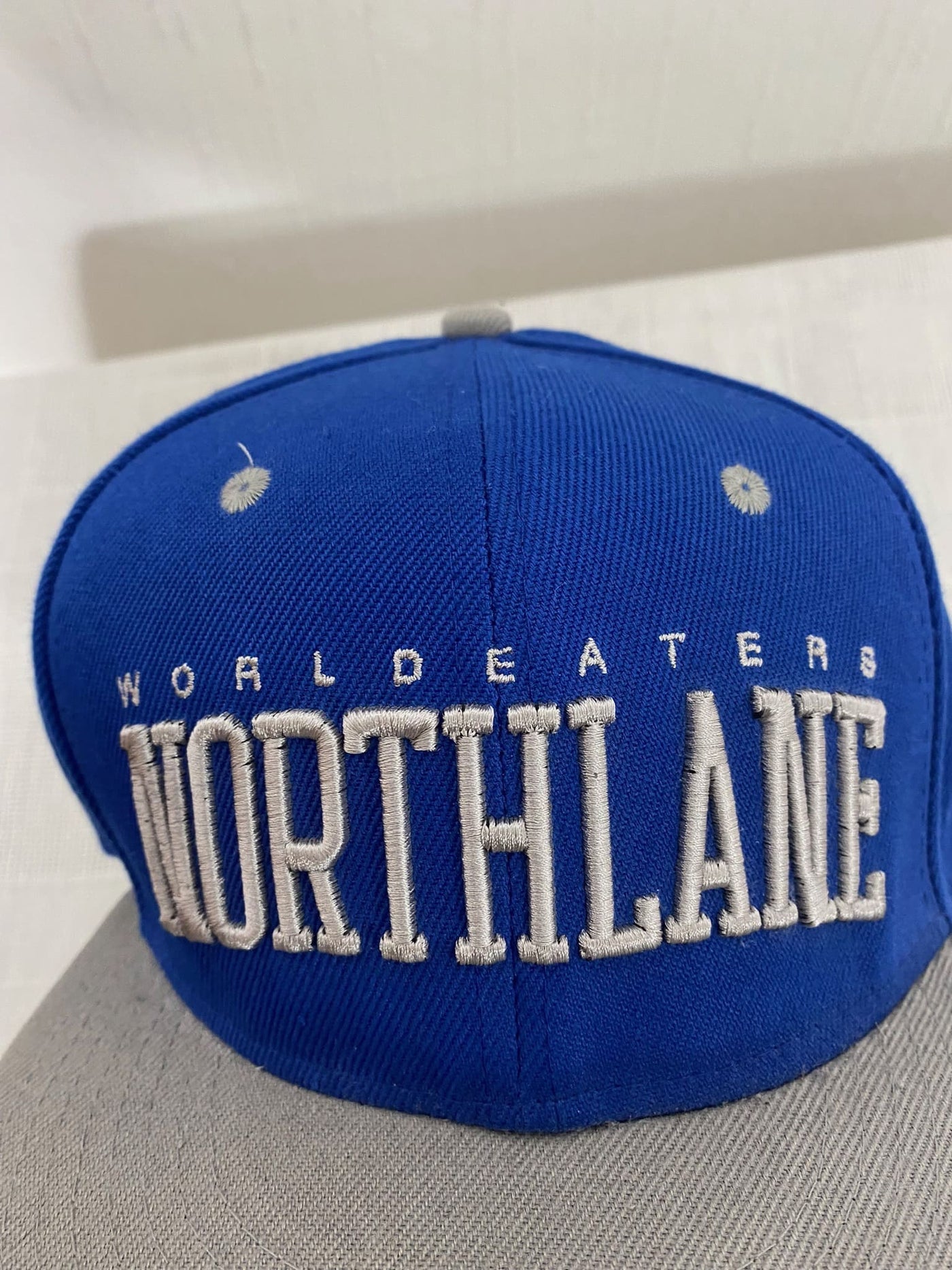 Cap "Northlane -World Eaters" Fan Merch blau